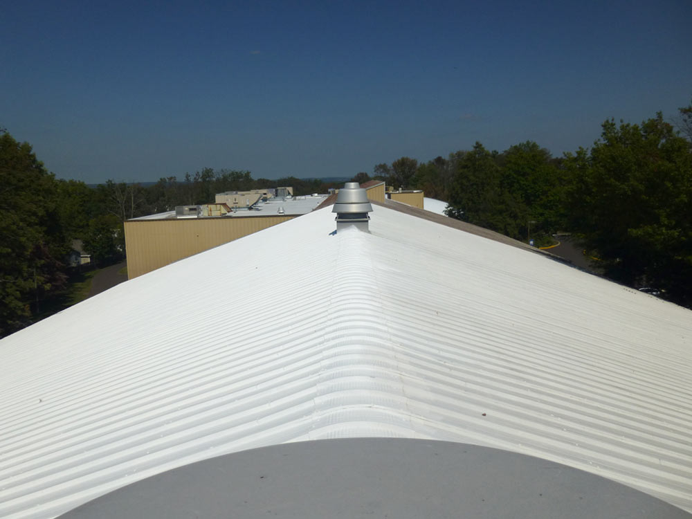 institutional roofing