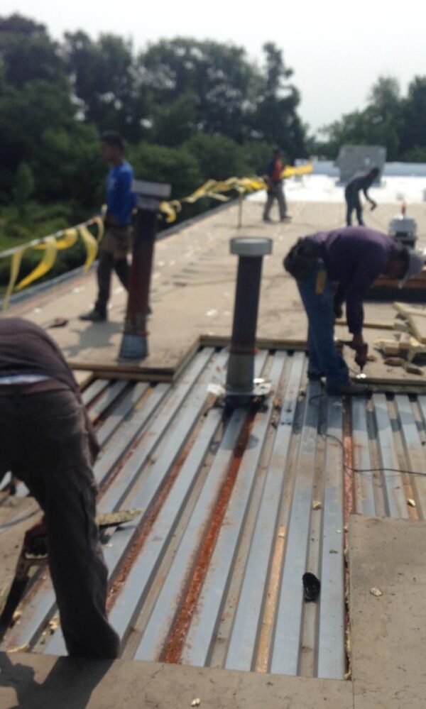 roof insulation