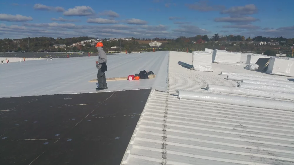 metal roof restoration
