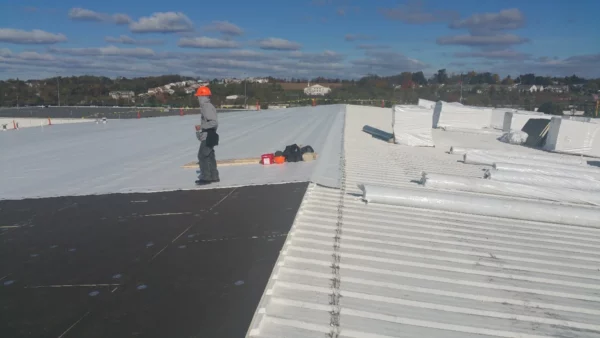metal roof restoration