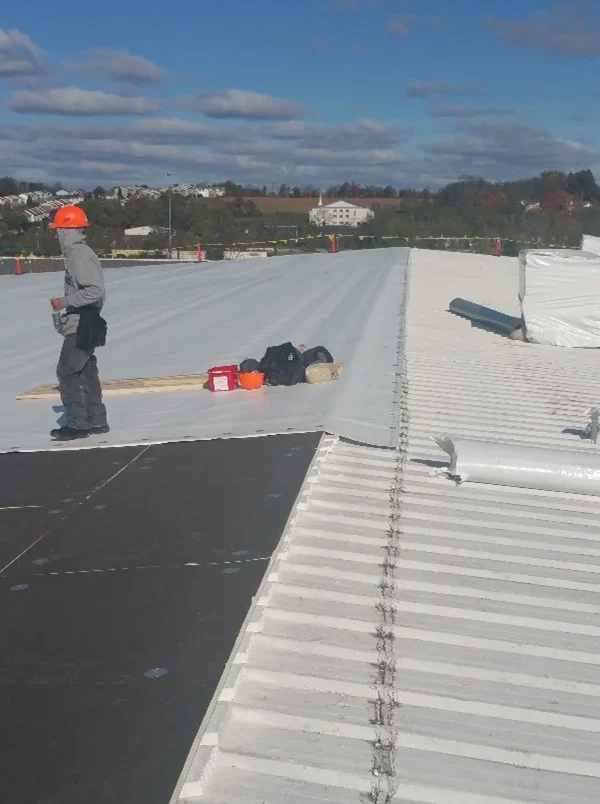 metal roof restoration