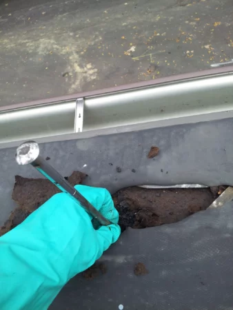 professional roof inspection services