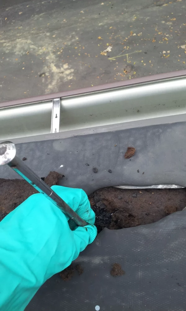 professional roof inspection services