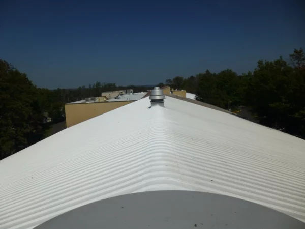 flat roof vs pitched roof
