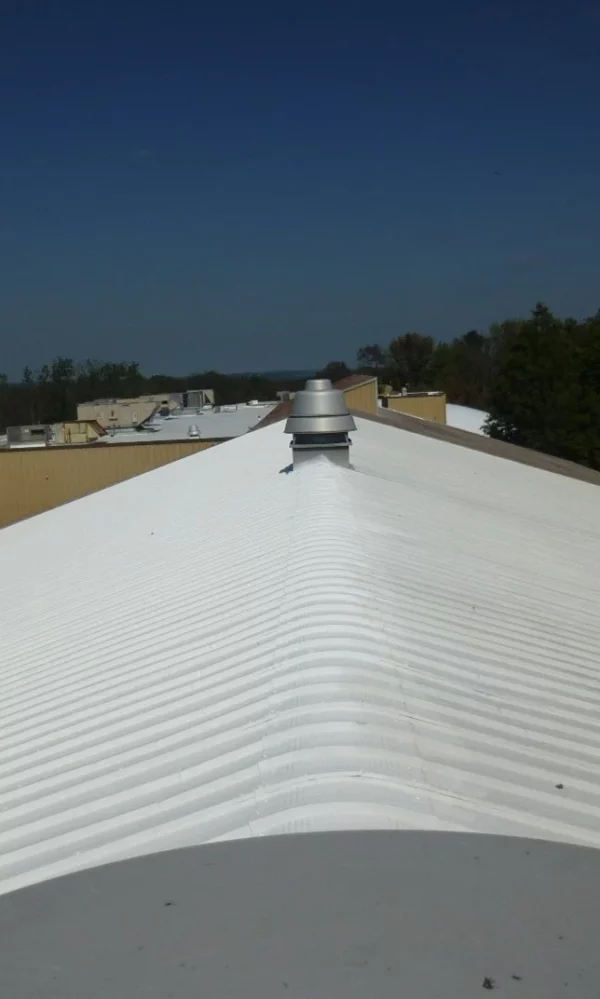 flat roof vs pitched roof