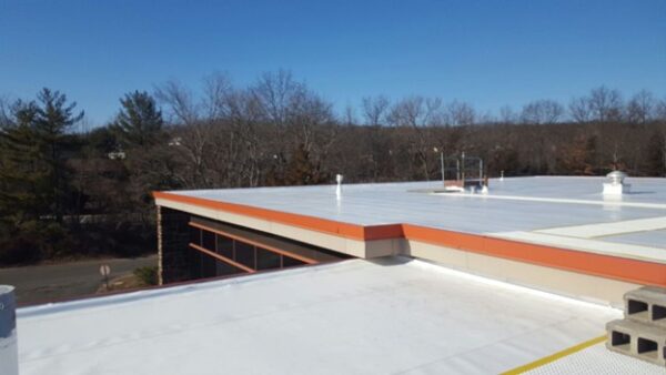 flat roof membrane