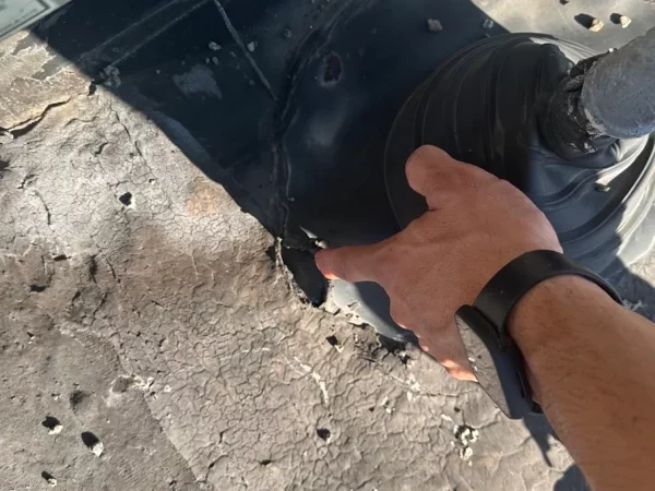 professional roof inspection